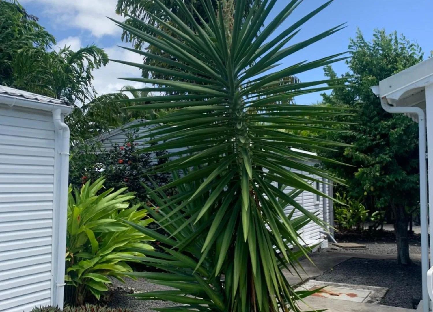 Hébergement de vacances Villa L' Attrape - Rêves à Saint-Francois  Guadeloupe