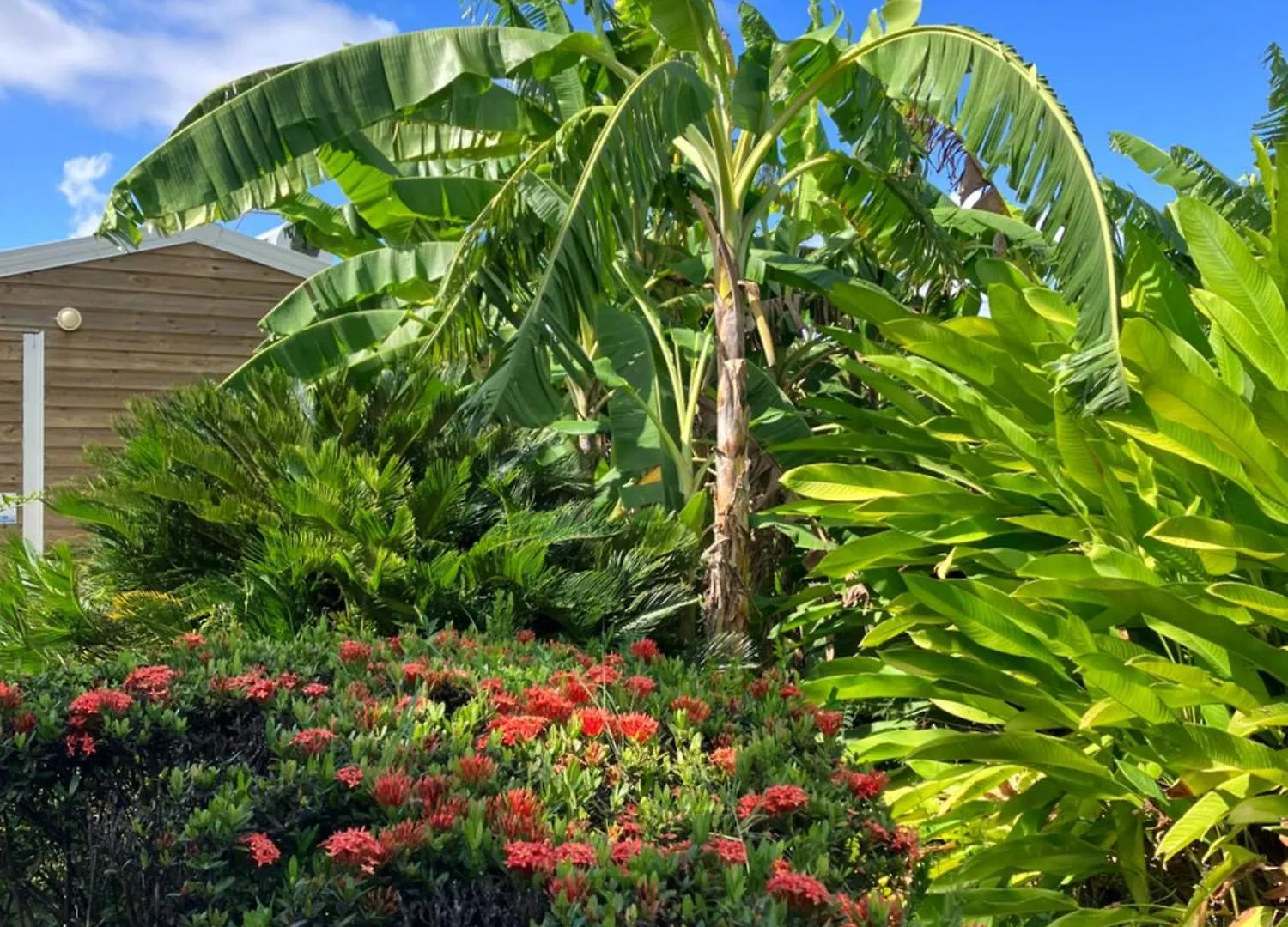 Villa L' Attrape - Rêves à Saint-Francois  Guadeloupe